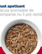 HILL'S Prescription Diet c/d Multicare Stress Pui cu Legume dietă veterinară pisici conservă hrană umedă sistem urinar (în sos) 82g