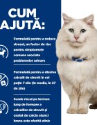 HILL'S Prescription Diet c/d Multicare Stress Somon dietă veterinară plic hrană umedă pisici sistem urinar (în sos) bax 85g x 12buc