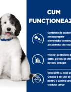 HILL'S Prescription Diet c/d Pui dietă veterinară câini conservă hrană umedă sistem urinar 370g