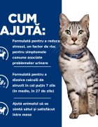 HILL'S Prescription Diet c/d Stress + Metabolic Pui dietă veterinară pisici hrană uscată sistem urinarsistem nervos metabolism 3kg