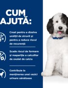 HILL'S Prescription Diet c/d Urinary Care Pui dietă veterinară câini hrană uscată sistem urinar 4kg