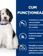 HILL'S Prescription Diet c/d Urinary Care Pui dietă veterinară câini hrană uscată sistem urinar 4kg