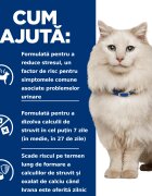 HILL'S Prescription Diet c/d Urinary Multicare Stress Pui dietă veterinară pisici hrană uscată afecțiuni urinare c/d Urinary Care Multicare Stress Pui dietă veterinară pisici hrană uscată sistem urinar sistem nervos & c