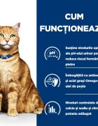 HILL'S Prescription Diet c/d Urinary Pui cu Legume dietă veterinară pisici conservă hrană umedă afecțiuni urinare c/d Urinary Care Pui dietă veterinară pisici conservă hrană umedă sistem urinar (în sos) 156g