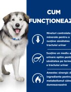 HILL'S Prescription Diet c/d Urinary + Weight Care + Metabolic Pui dietă veterinară câini hrană uscată afecțiuni urinare și metabolice c/d Urinary + Metabolic Pui dietă veterinară câini hrană uscată sistem urinar metabol