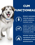 HILL'S Prescription Diet c/d Urinary + Weight Care + Metabolic Pui dietă veterinară câini hrană uscată afecțiuni urinare și metabolice c/d Urinary + Weight Care + Metabolic Pui dietă veterinară câini hrană uscată sistem u