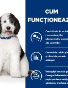 HILL'S Prescription Diet c/d + Weight Care Pui cu Legume dietă veterinară câini conservă hrană umedă sistem urinar și controlul greutății 156g