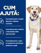 HILL'S Prescription Diet d/d Food Sensitivities Rață cu Orez dietă veterinară câini hrană uscată sensibilități digestive d/d Food Sensitivities Rață cu Orez dietă veterinară câini hrană uscată piele & blana sistem digest