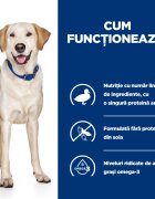 HILL'S Prescription Diet d/d Food Sensitivities Rață cu Orez dietă veterinară câini hrană uscată sensibilități digestive d/d Food Sensitivities Rață cu Orez dietă veterinară câini hrană uscată piele & blana sistem digest