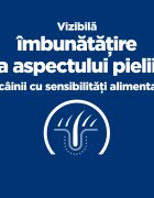 HILL'S Prescription Diet Derm Complete dietă veterinară câini hrană uscată afecțiuni dermatologice Derm Complete dietă veterinară câini hrană uscată piele & blana 1.5kg