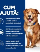 HILL'S Prescription Diet Derm Complete dietă veterinară câini hrană uscată afecțiuni dermatologice Derm Complete dietă veterinară câini hrană uscatăpiele & blana 12kg