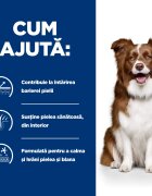 HILL'S Prescription Diet Derm Defense Pui dietă veterinară câini hrană uscată afecțiuni dermatologice Derm Defense Pui dietă veterinară câini hrană uscată piele & blana 4kg