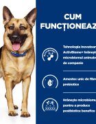HILL'S Prescription Diet Gastrointestinal Biome Pui cu Legume dietă veterinară câini conservă hrană umedă sistem digestiv 354g