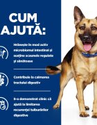 HILL'S Prescription Diet Gastrointestinal Biome Pui dietă veterinară câini hrană uscată afecțiuni digestive Gastrointestinal Biome Pui dietă veterinară câini hrană uscată sistem digestiv 10kg