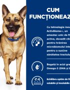 HILL'S Prescription Diet Gastrointestinal Biome Pui dietă veterinară câini hrană uscată afecțiuni digestive Gastrointestinal Biome Pui dietă veterinară câini hrană uscată sistem digestiv 4kg