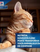 HILL'S Prescription Diet Hill's PD Feline k/d - Afectiuni Renale 156 g