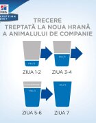 HILL'S Prescription Diet Hill's PD Feline k/d - Afectiuni Renale 156 g