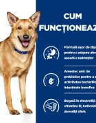HILL'S Prescription Diet HILL'Sss Prescription Diet i/d Digestive Care Pui dietă veterinară câini hrană uscată sensibilități digestive i/d Digestive Care Pui dietă veterinară câini hrană uscată sistem digestiv 1.5kg