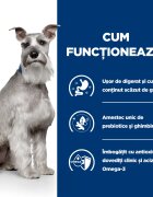 HILL'S Prescription Diet i/d Digestive Care Low Fat Pui dietă veterinară câini hrană uscată sensibilități digestive i/d Digestive Care Low Fat Pui dietă veterinară câini hrană uscată sistem digestiv 1.5kg