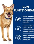 HILL'S Prescription Diet i/d Digestive Care Pui cu Legume dietă veterinară câini conservă hrană umedă sensibilități digestive i/d Digestive Care Pui cu Legume dietă veterinară câini conservă hrană umedă sistem digestiv (