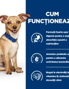 HILL'S Prescription Diet i/d Digestive Care Pui cu Legume dietă veterinară câini conservă hrană umedă sensibilități digestive i/d Digestive Care Pui cu Legume dietă veterinară câini conservă hrană umedă sistem digestiv (