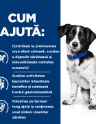 HILL'S Prescription Diet i/d Digestive Care Stress Mini Pui dietă veterinară câini hrană uscată sensibilități digestive i/d Digestive Care Stress Mini Pui dietă veterinară câini hrană uscată sistem digestiv 3kg