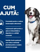 HILL'S Prescription Diet i/d Sensitive Digestive Care Ou și Orez dietă veterinară câini hrană uscată sensibilități digestive i/d Sensitive Digestive Care Ou și Orez dietă veterinară câini hrană uscată sistem digestiv 4kg