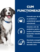 HILL'S Prescription Diet i/d Sensitive Digestive Care Ou și Orez dietă veterinară câini hrană uscată sensibilități digestive i/d Sensitive Digestive Care Ou și Orez dietă veterinară câini hrană uscată sistem digestiv 4kg