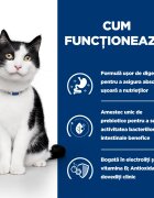 HILL'S Prescription Diet i/d Sensitive Digestive Care Pui cu Legume dietă veterinară pisici conservă hrană umedă sistem digestiv 82g