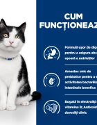 HILL'S Prescription Diet i/d Sensitive Digestive Care Pui dietă veterinară pisici conservă hrană umedă sistem digestiv 156g