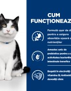 HILL'S Prescription Diet i/d Sensitive Digestive Care Pui dietă veterinară pisici hrană uscată sensibilități digestive i/d Sensitive Digestive Care Pui dietă veterinară pisici hrană uscată sistem digestiv 3kg