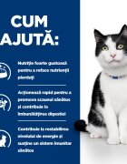 HILL'S Prescription Diet i/d Sensitive Digestive Care Pui dietă veterinară pisici hrană uscată sensibilități digestive i/d Sensitive Digestive Care Pui dietă veterinară pisici hrană uscată sistem digestiv 8kg