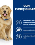 HILL'S Prescription Diet j/d Mobility Pui dietă veterinară câini conservă hrană umedă afecțiuni articulare 370g