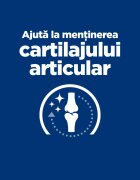 HILL'S Prescription Diet j/d Mobility Pui dietă veterinară câini hrană uscată afecțiuni articulare j/d Mobility Pui dietă veterinară câini hrană uscată sistem articular 16kg