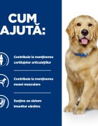 HILL'S Prescription Diet j/d Mobility Pui dietă veterinară câini hrană uscată afecțiuni articulare j/d Mobility Pui dietă veterinară câini hrană uscată sistem articular 4kg