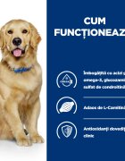 HILL'S Prescription Diet j/d Mobility Pui dietă veterinară câini hrană uscată afecțiuni articulare j/d Mobility Pui dietă veterinară câini hrană uscată sistem articular 4kg