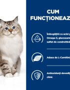 HILL'S Prescription Diet j/d Mobility Pui dietă veterinară pisici hrană uscată sistem articular 1.5kg