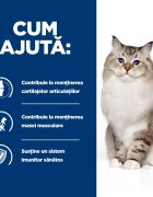 HILL'S Prescription Diet j/d Mobility Pui dietă veterinară pisici hrană uscată sistem articular 1.5kg