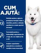 HILL'S Prescription Diet k/d+j/d Kidney Care + Mobility dietă veterinară câini hrană uscată afecțiuni renale și articulare k/d+j/d Kidney Care + Mobility dietă veterinară câini hrană uscată sistem renal sistem articular 1