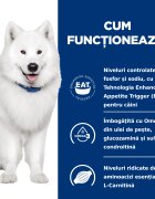 HILL'S Prescription Diet k/d+j/d Kidney Care + Mobility dietă veterinară câini hrană uscată afecțiuni renale și articulare k/d+j/d Kidney Care + Mobility dietă veterinară câini hrană uscată sistem renal sistem articular 4