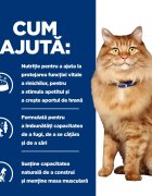 HILL'S Prescription Diet k/d+j/d Kidney Care + Mobility Pui dietă veterinară pisici hrană uscată afecțiuni renale și articulare k/d+j/d Kidney Care + Mobility Pui dietă veterinară pisici hrană uscată sistem renal sistem