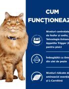 HILL'S Prescription Diet k/d+j/d Kidney Care + Mobility Pui dietă veterinară pisici hrană uscată afecțiuni renale și articulare k/d+j/d Kidney Care + Mobility Pui dietă veterinară pisici hrană uscată sistem renal sistem