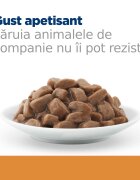 HILL'S Prescription Diet k/d+j/d Kidney Care + Mobility Pui dietă veterinară pisici plic hrană umedă sistem renal sistem articular 85g x 12buc