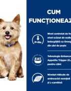 HILL'S Prescription Diet k/d Kidney Care dietă veterinară câini hrană uscată afecțiuni renale k/d Kidney Care dietă veterinară câini hrană uscată sistem renal 1.5kg