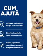 HILL'S Prescription Diet k/d Kidney Care dietă veterinară câini hrană uscată afecțiuni renale k/d Kidney Care dietă veterinară câini hrană uscatăsistem renal 4kg