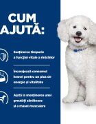 HILL'S Prescription Diet k/d Kidney Care Early Stage dietă veterinară câini hrană uscată afecțiuni renale k/d Kidney Care Early Stage dietă veterinară câini hrană uscată sistem renal 1.5kg