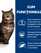 HILL'S Prescription Diet k/d Kidney Care Early Stage dietă veterinară pisici hrană uscată afecțiuni renale k/d Kidney Care Early Stage dietă veterinară pisici hrană uscată sistem renal 1.5kg