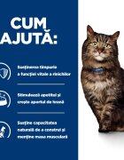 HILL'S Prescription Diet k/d Kidney Care Early Stage Pui dietă veterinară pisici plic hrană umedă sistem renal 85g x 12buc