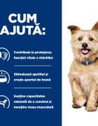 HILL'S Prescription Diet k/d Kidney Care Pui cu Legume dietă veterinară câini conservă hrană umedă afecțiuni renale 156g