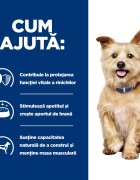 HILL'S Prescription Diet k/d Kidney Care Pui cu Legume dietă veterinară câini conservă hrană umedă afecțiuni renale k/d Kidney Care Pui cu Legume dietă veterinară câini conservă hrană umedă sistem renal (în sos) 354g